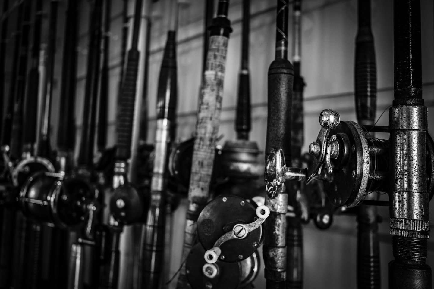 Vintage fishing rods and reels arranged upright in a display.